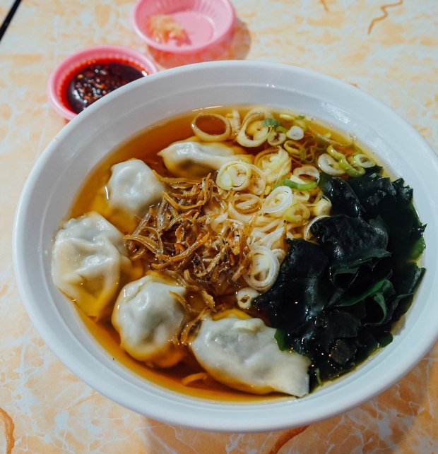 a9-noodle-dumpling-chive-pork-dumpling-noodle-3
