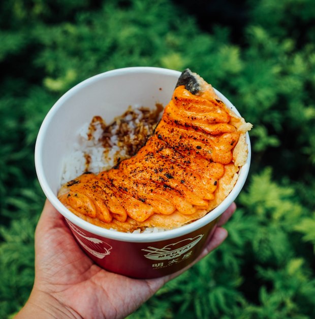 mentai-ya-tampines-salmon-mentai-don