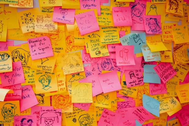 hoyofest-singapore-flipper-5