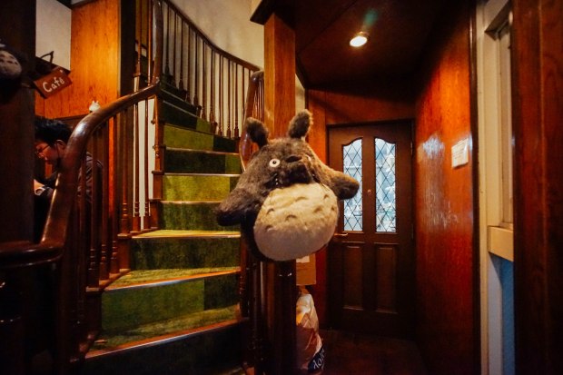 shirohige-cream-puff-factory-3