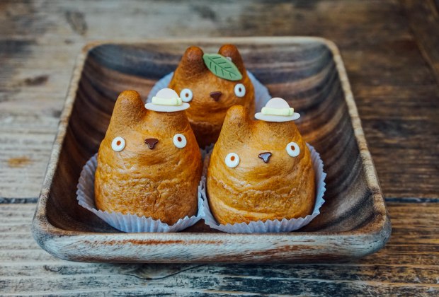 shirohige-cream-puff-factory-totoro-cream-puff-2