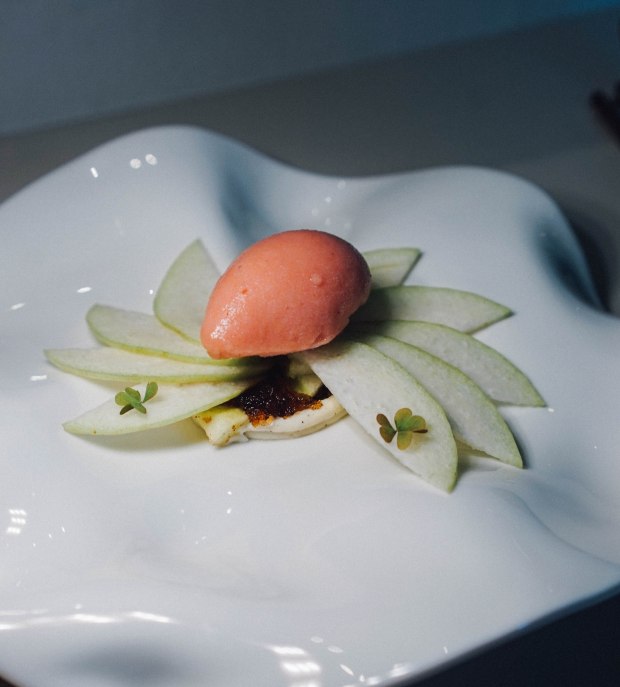 catkin-by-huishan-sour-plum-guava