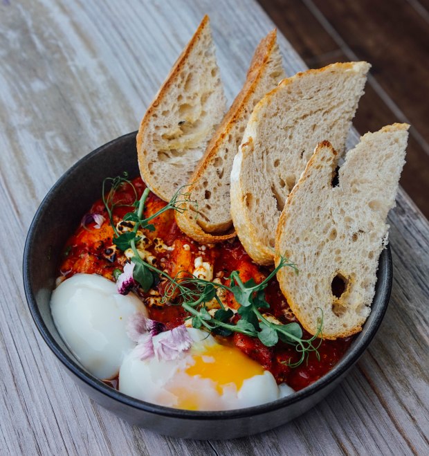 oaks-coffee-co-shakshouka