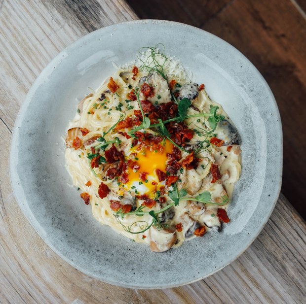 oaks-coffee-co-spaghetti-carbonara