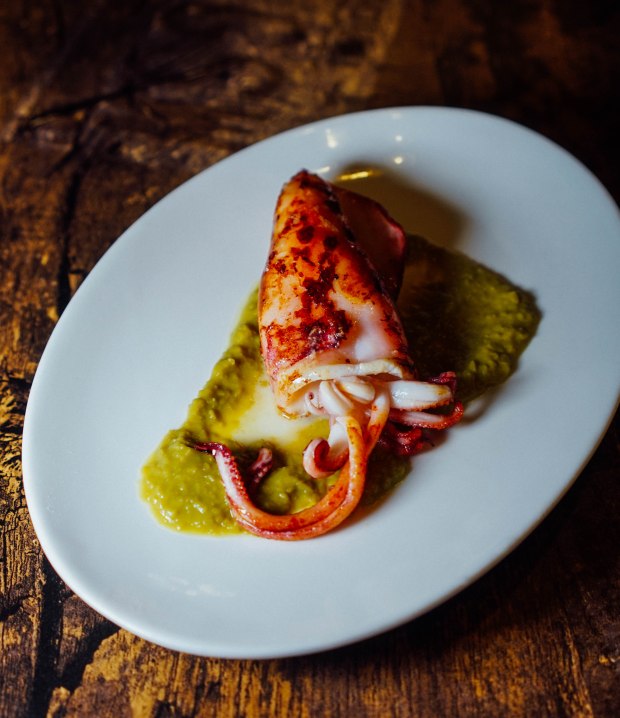 cinqueterre-scamorza-e-calamari