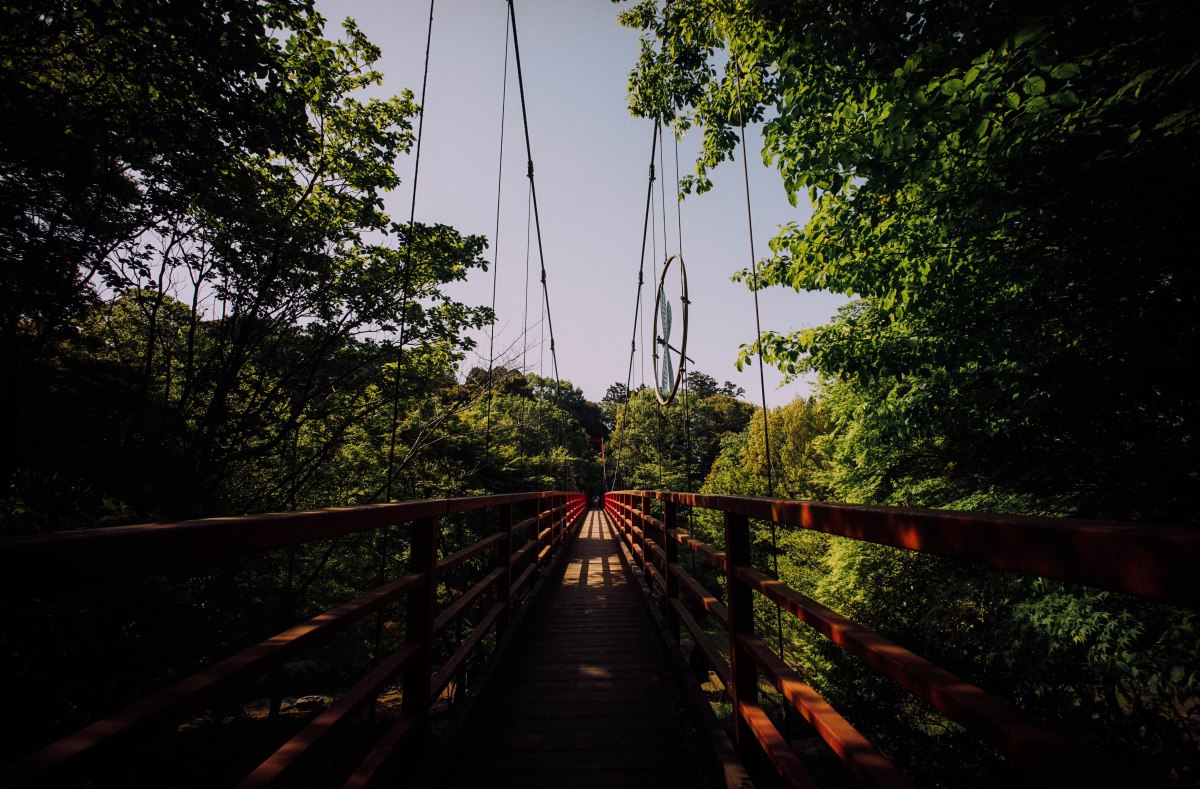 hinuma-nature-park-2