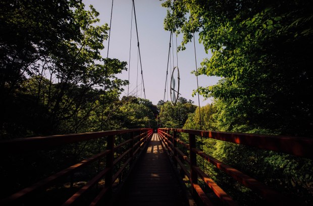 hinuma-nature-park-2