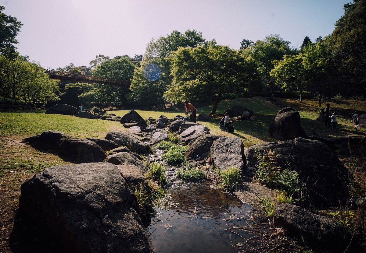 hinuma-nature-park-3