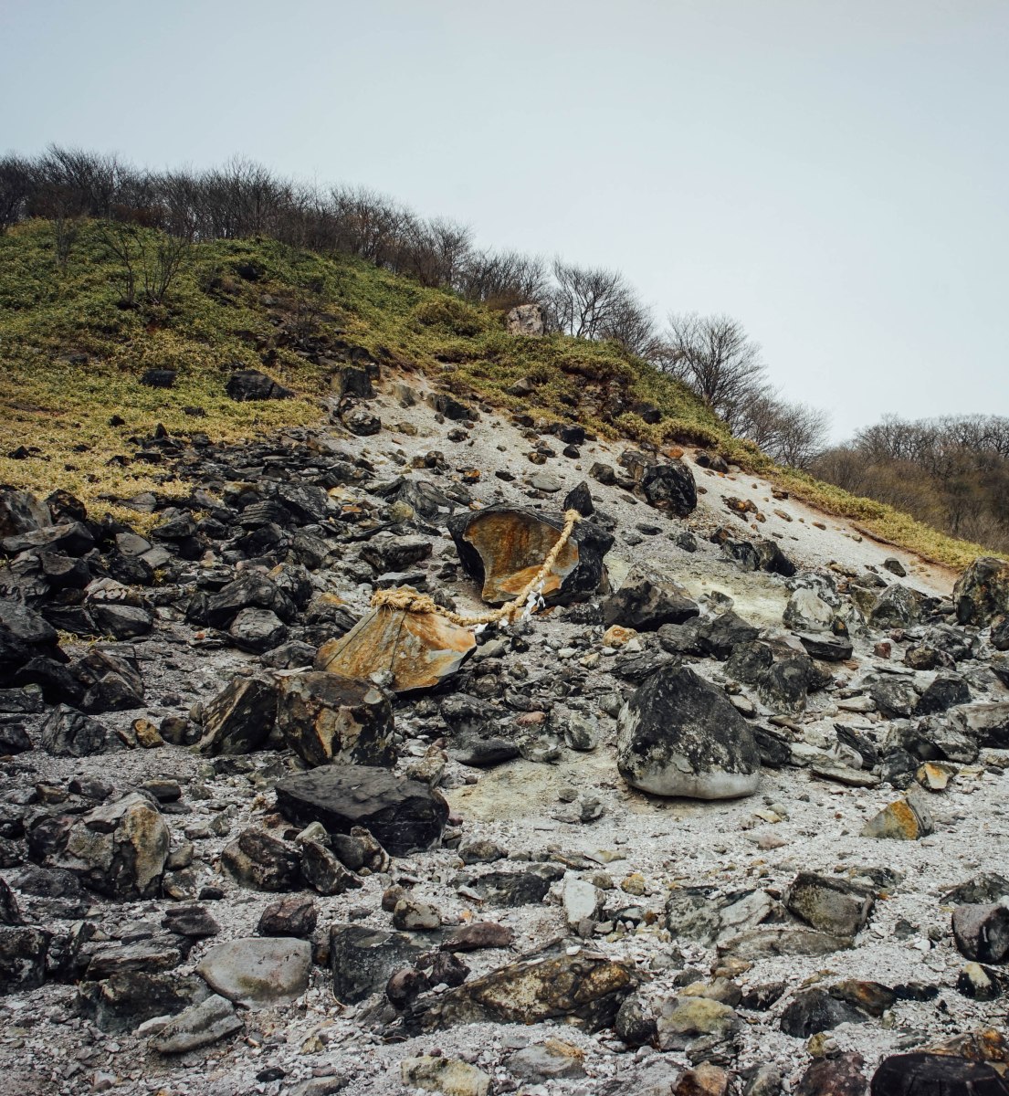 nasu-killing-stone-sessho-seki