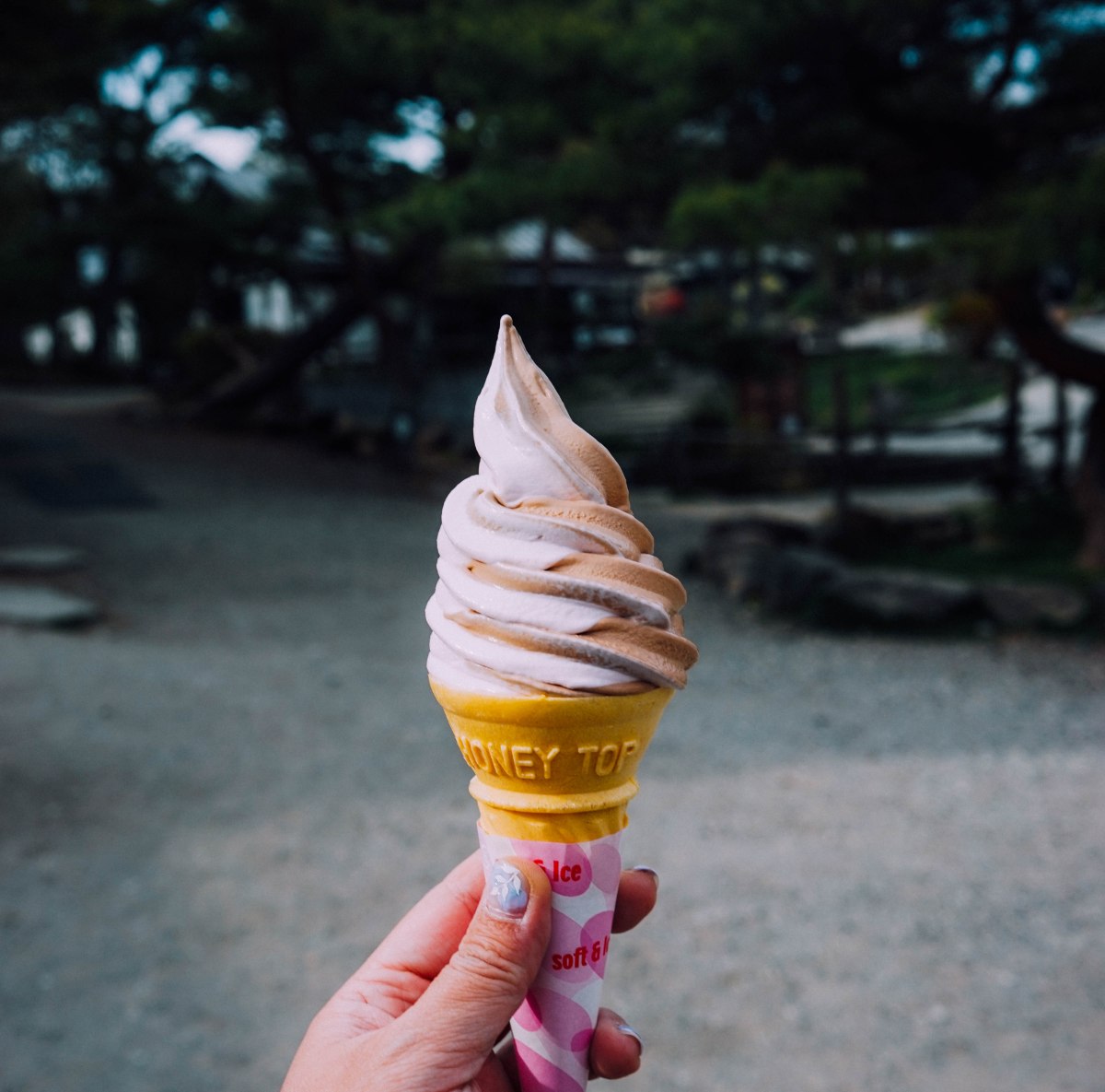 Nasu-Kogen-Minamigaoka-Dairy-soft-serve