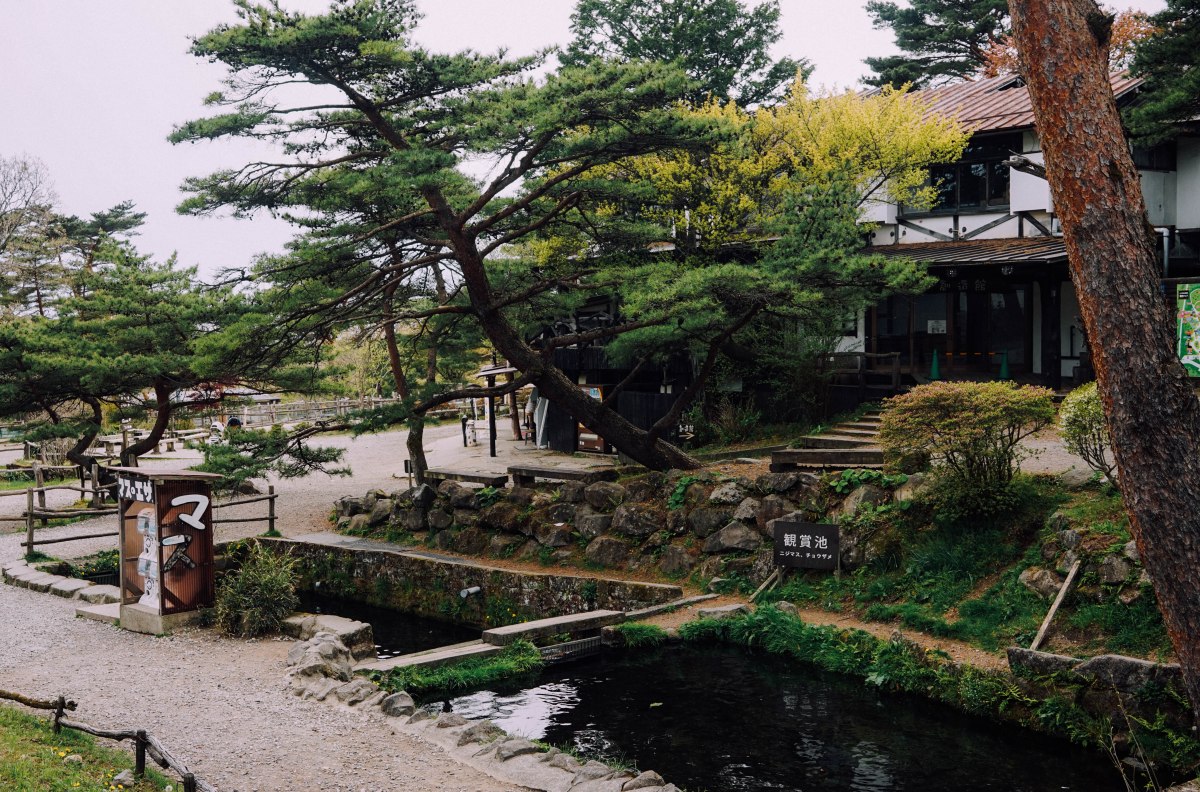 Nasu-Kogen-Minamigaoka-Dairy