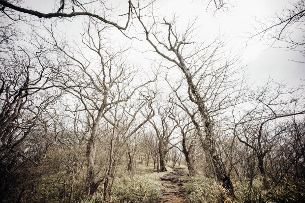 nasu-komadome-falls-observation-point-2
