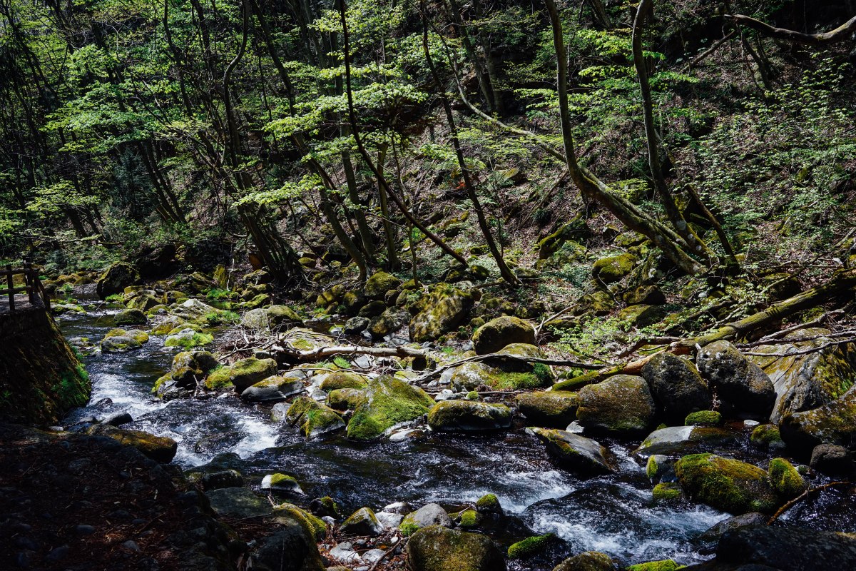 nasu-otome-waterfall (1)