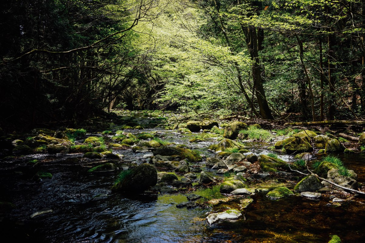 nasu-otome-waterfall-2