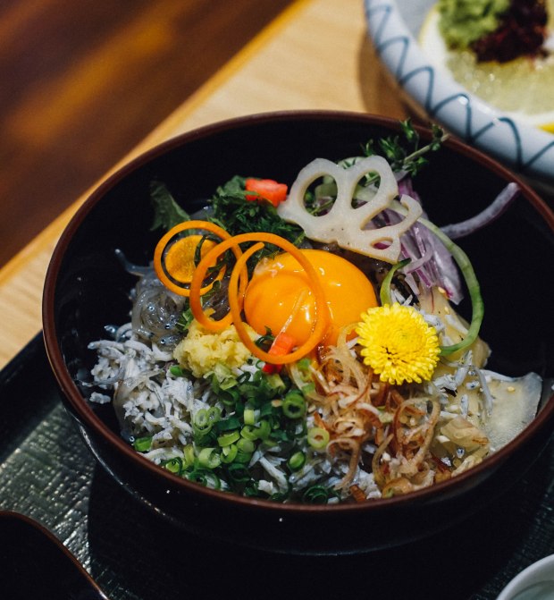 oarai-uotome-half-and-half-white-bait-don