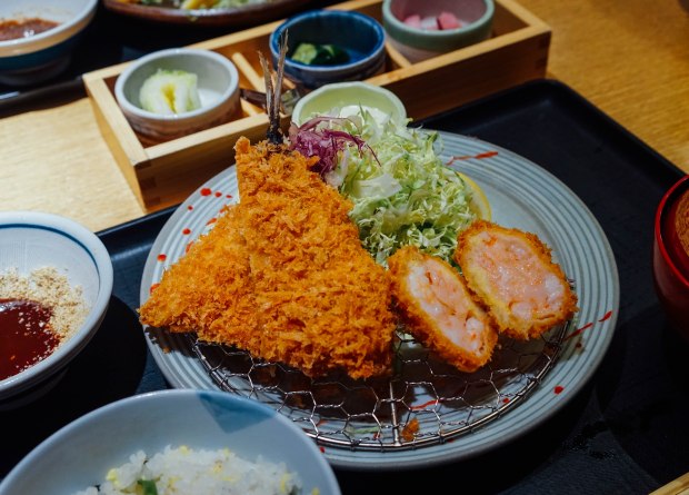 Tonkatsu-TonQ-Mito-Chinaba
