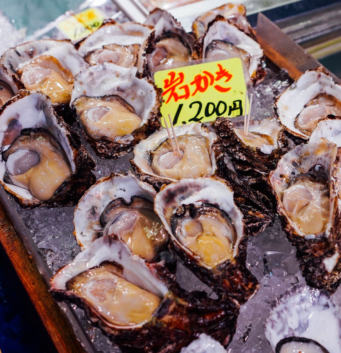 tsukiji-outer-market-raw-oysters