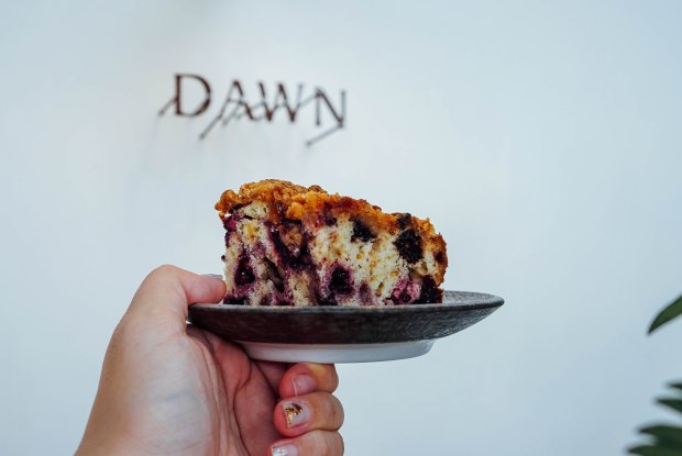 dawn-kissa-blackberry-crumb-cake-2