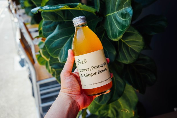 santis-guava-pineapple-and-ginger-kombucha