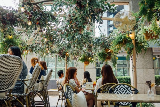 nico-cafe-wheelock-2