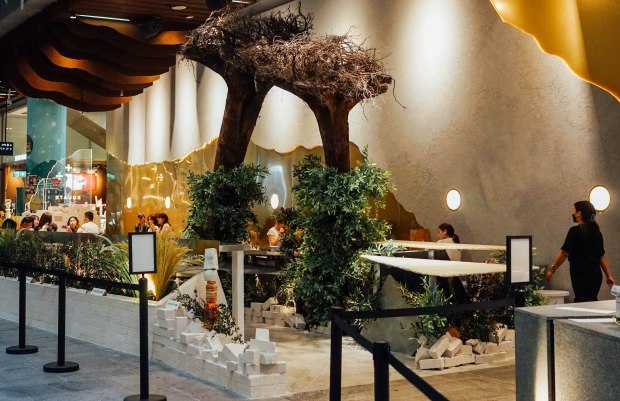 equate-coffee-orchard-3