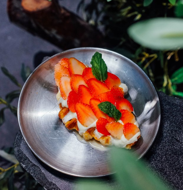 equate-coffee-orchard-strawberry-vanilla-croffle