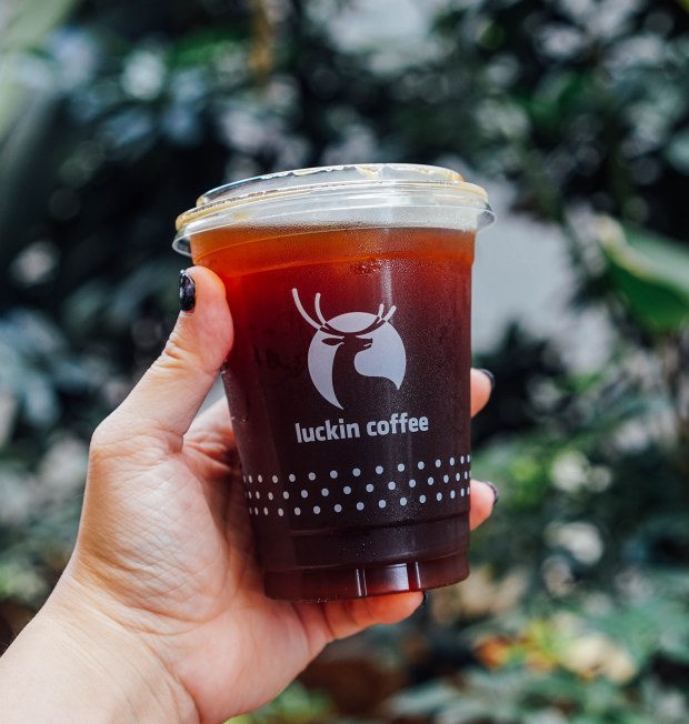 luckin-coffee-sumatra-gayo-soe-americano
