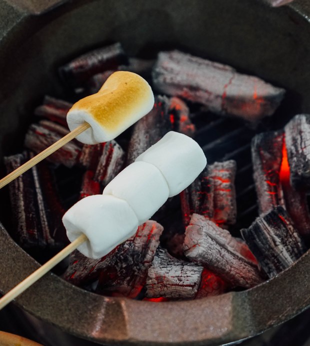 hae-prawn-claypot-diy-smores-2