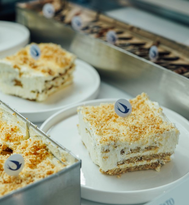 nuldam-space-singapore-tiramisu-2