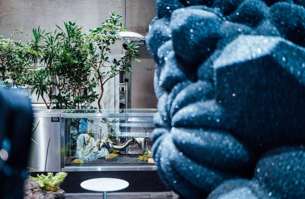 thisisshizen-kyoto-interior-4